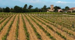 Domaine la Farge